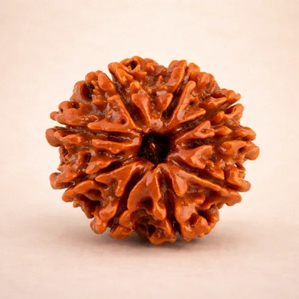 9 Mukhi Rudraksha Super – Power of Maa Durga
