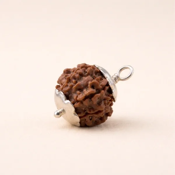 7 Mukhi Rudraksha Premium — Lab Certified Original for Wealth & Mahalakshmi Blessings